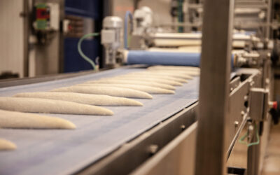 photograph-of-the-bread-making-process-in-a-produc-2023-11-27-04-58-46-utc